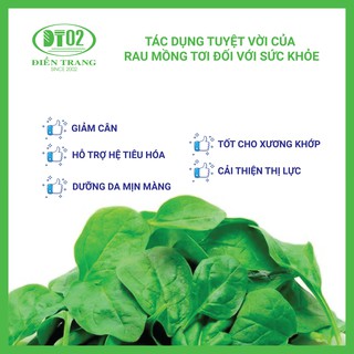 Hạt giống Mồng tơi (10g) (Trang Nông)