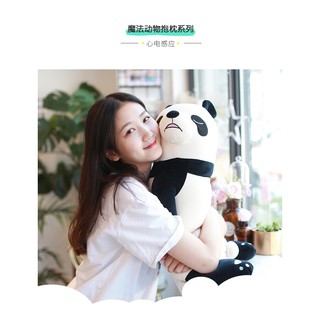 Gấu lười ngủ ngày