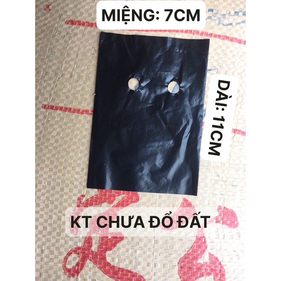 1KG TÚI ƯƠM CÂY MÃ 7*11 ( KÍCH RỄ, MẦM CÂY XANH LÁ, DỊCH TRUYỀN CHO CÂY, BẠT CỎ...)