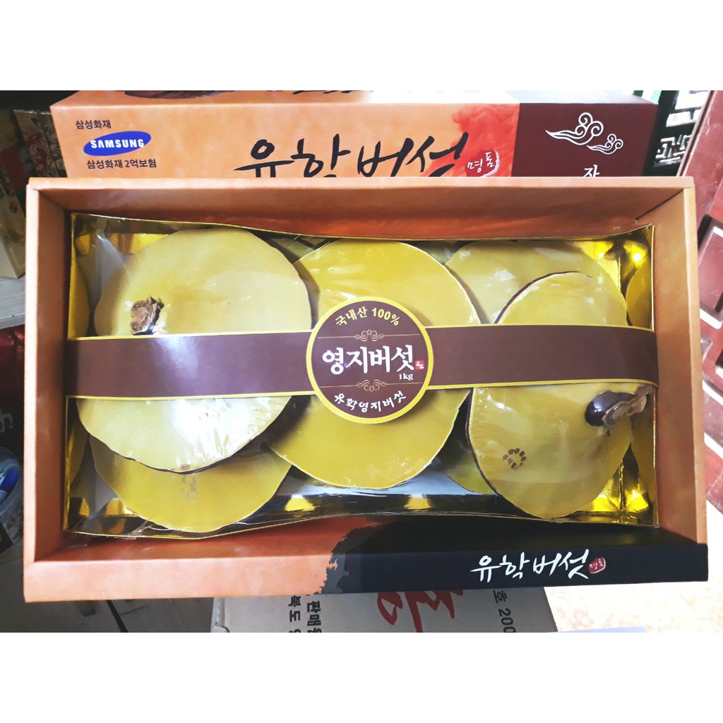 Nấm linh chi hàn quốc cao cấp - Nấm hộp cô gái 1kg, tranglinh | BigBuy360 - bigbuy360.vn