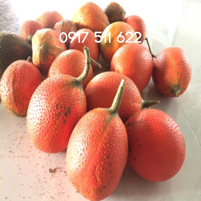 Phôi son dưỡng gấc 1kg 700k