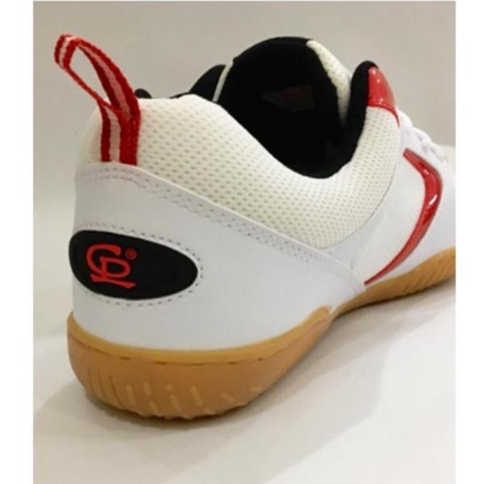 . new XCv 2021 ' :;