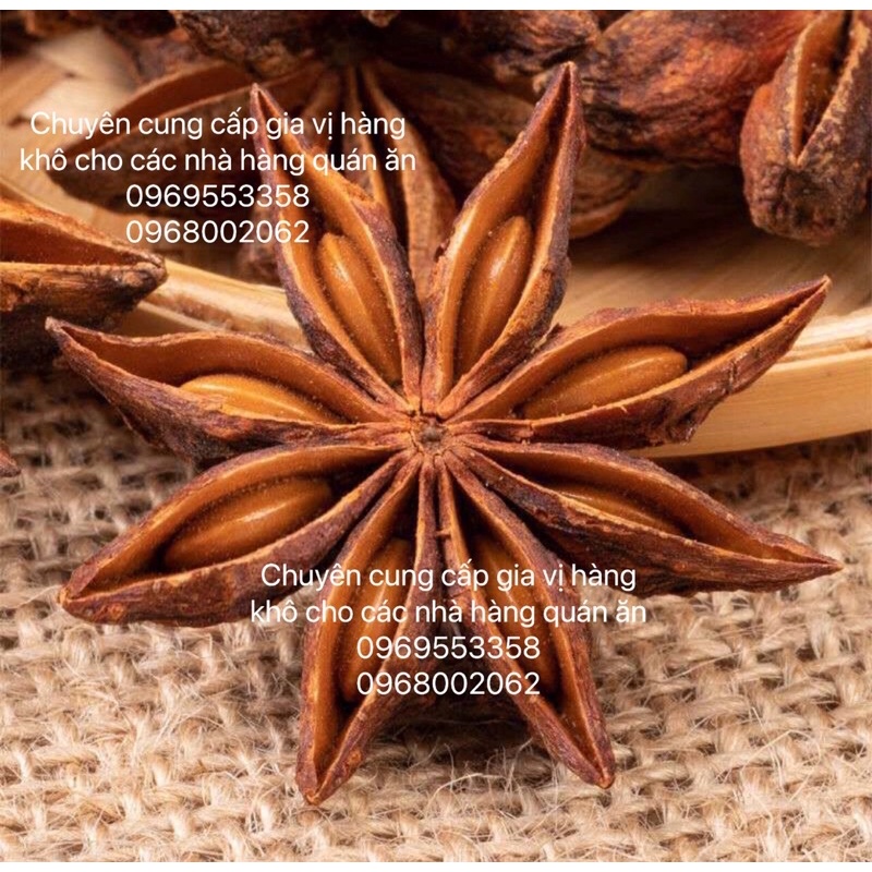 HOA ĐẠI HỒI LẠNG SƠN LOẠI 1