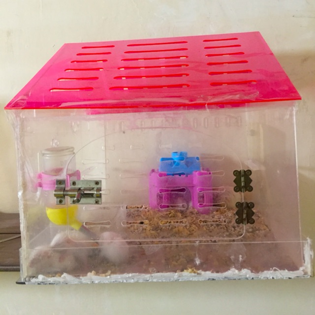 Thanh lí chuồng mika