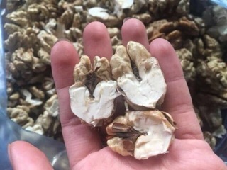 Óc chó tươi 1kg