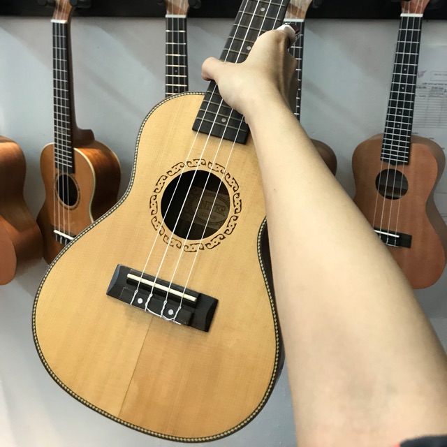 Ukulele concert