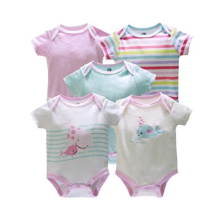 Set 5 body xuất