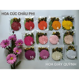 SET CÚC CHÂU PHI GIÂY MỸ THUẬT