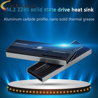 LUCKYDAYS M.2 SSD Heatsink Cooler M2 2280 Solid State Hard Disk Radiator Thermal Pad