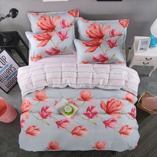 Bộ vỏ chăn ga poly nhập