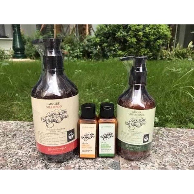 Dầu gội gừng nghệ