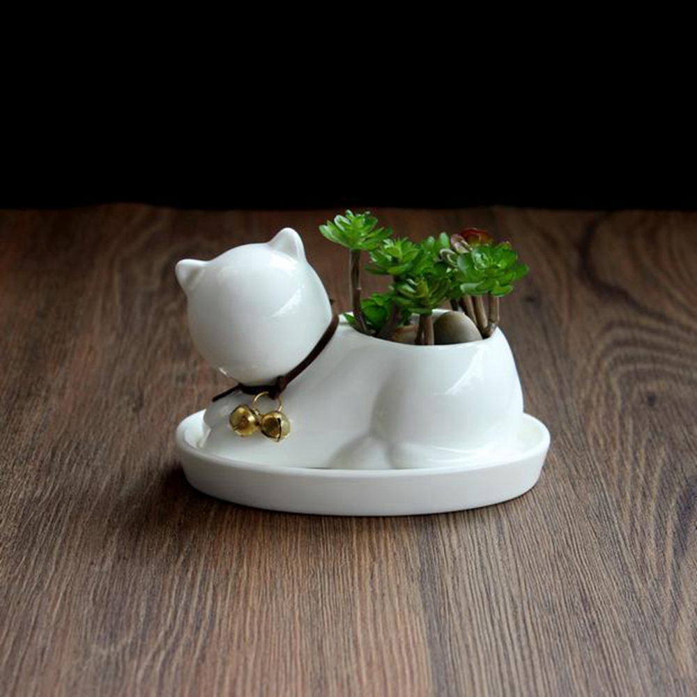 Chậu cây gốm sứ trồng hoa hình con mèo để bàn