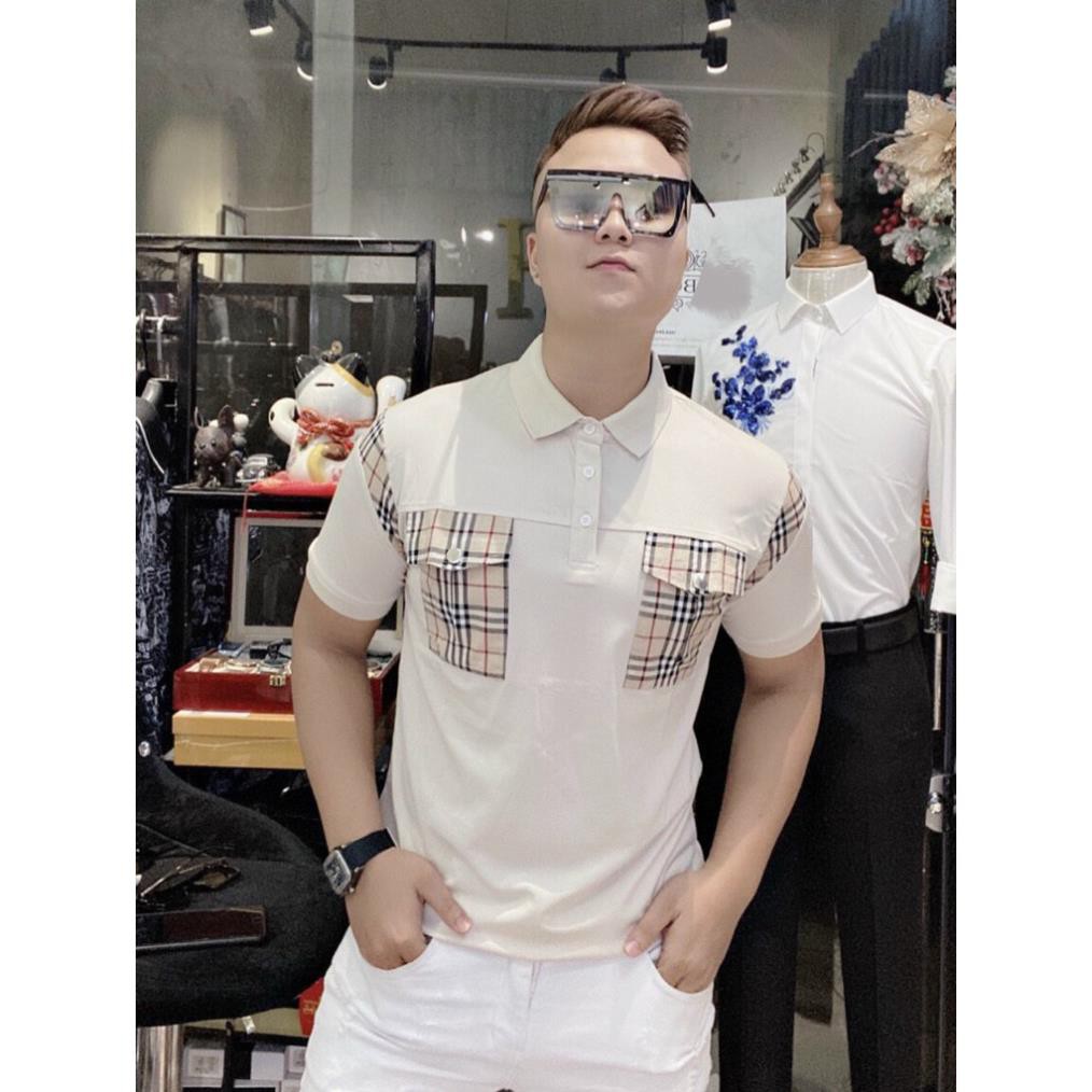 Áo polo nam BB, áo phông có cổ kẻ vân BB mã 8900 | BigBuy360 - bigbuy360.vn