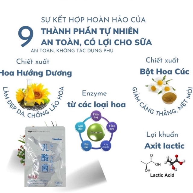 Viên Bổ Sung LACTIC Của Hãng SEEDCOMS Nhật Bản