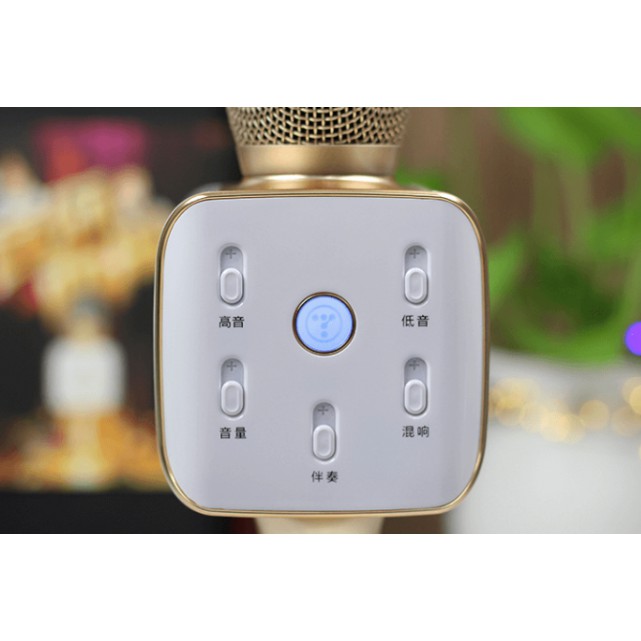 Micro karaoke kèm loa Bluetooth Tosing Q11 - Chính hãng BH 1 năm