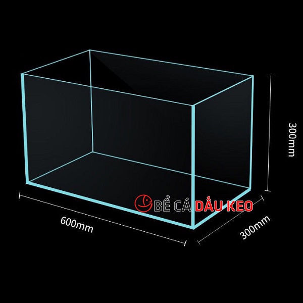 Bể cá 60x30x30