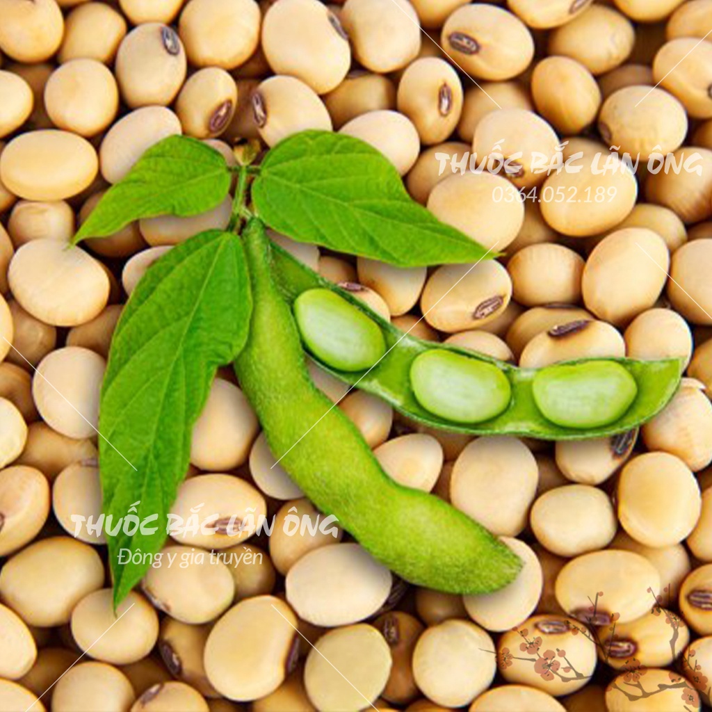 Đậu nành 100g (Đỗ tương, làm sữa hạt, tào phớ, tàu hũ)