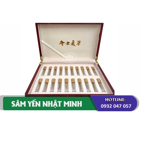 ĐÔNG TRÙNG HẠ THẢO TÂY TẠNG THIÊN NHIÊN NGUYÊN CON 10G CON ĐẠI
