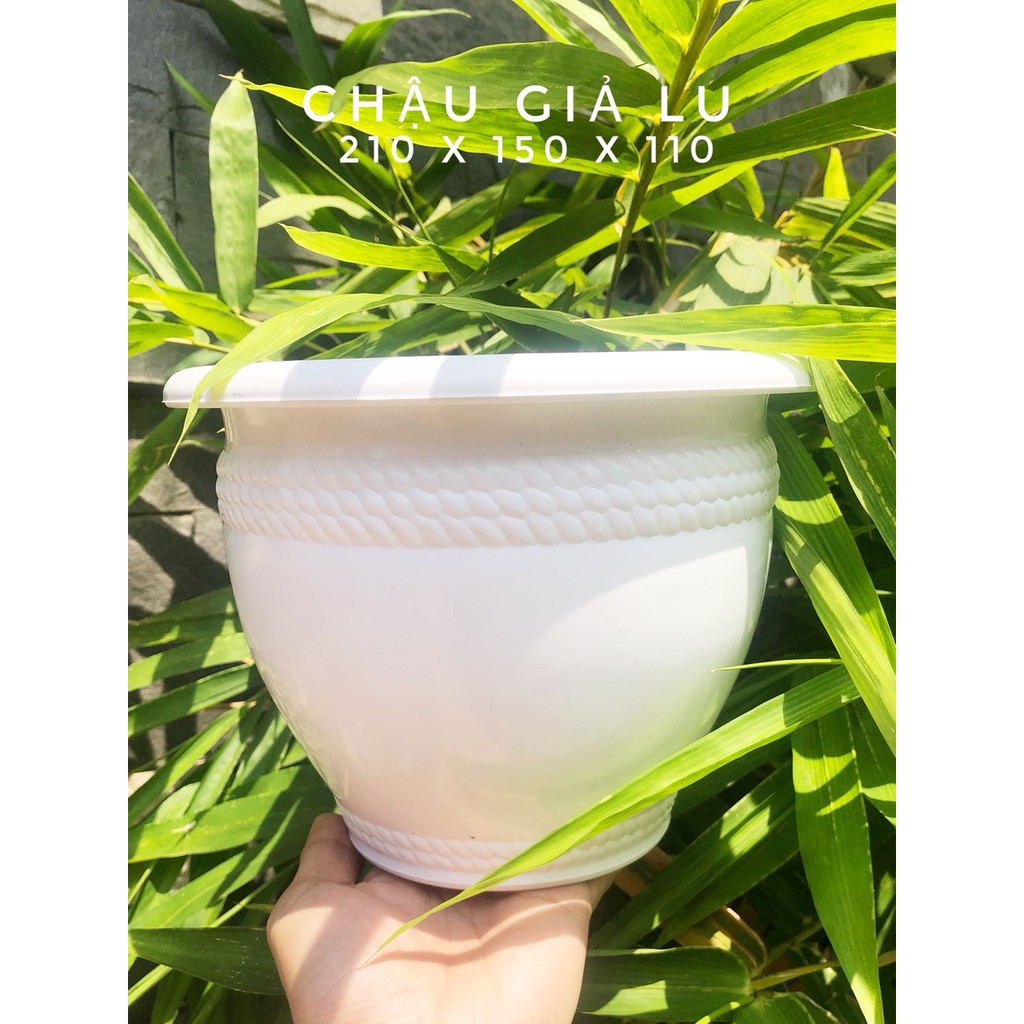 Chậu nhựa giả lu