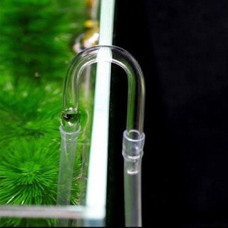 Ống dẫn CO2 chữ U cho hồ cá thủy sinh