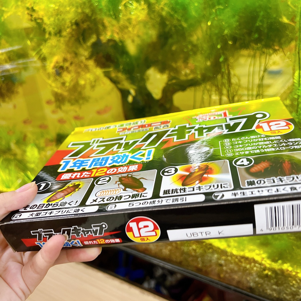 DIỆT GIÁN NHẬT BẢN - SET 12 VIÊN ĐUỔI GIÁN, CÔN TRÙNG TIỆN DỤNG, TẬN GỐC AN TOÀN