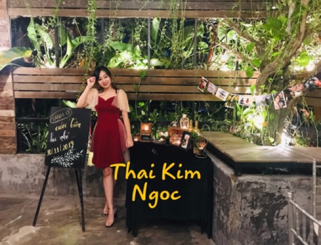 Đầm xoè phối lưới nhũ đính hạt/ đầm dự tiệc | BigBuy360 - bigbuy360.vn