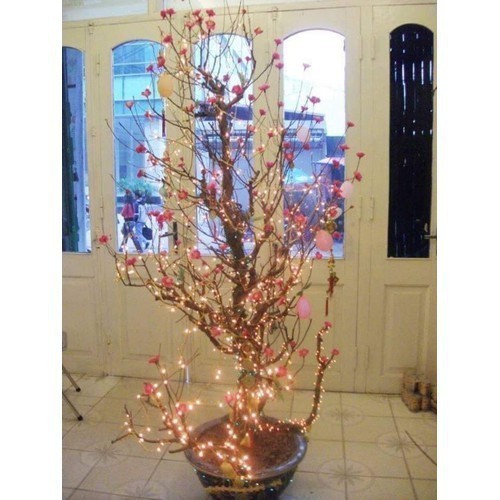 Đèn nháy kim trang trang trí chống nước