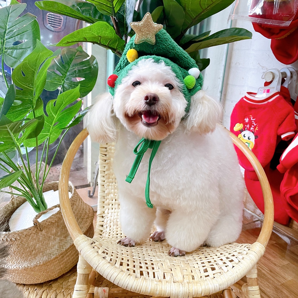 Nón cây thông Noel cho chó mèo đồ hoá trang Noel chó mèo