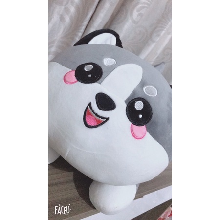 Gấu Bông Chó Husky, Mèo Husky Siêu Yêu