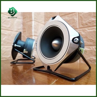 Loa treble Pioneer P8804
