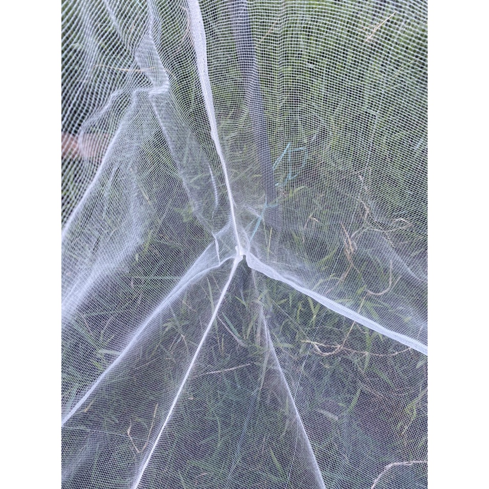 Tráng nuôi ốc nhồi , ốc bươu chuyên nghiệp có 19 kích thước lựa chọn