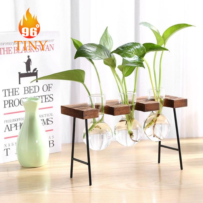 Bình thủy tinh hình tròn cắm hoa, trồng cây thủy sinh có khung gỗ và chân đế sắt trang trí để bàn, bàn làm việc