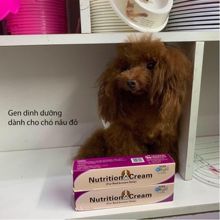 Gel dinh dưỡng giữ đậm màu lông và phục hồi màu lông cho chó nâu đỏ