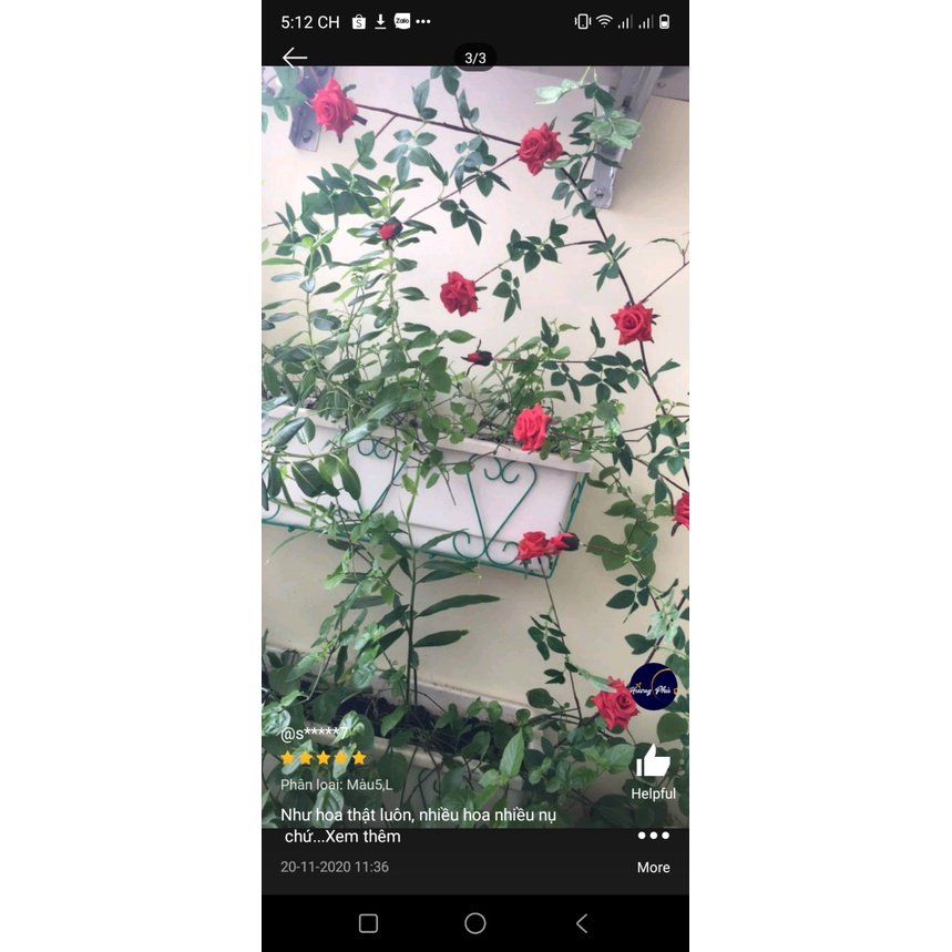 Dây hoa hồng gai leo cao cấp 2m-dây hoa hồng giả trang trí