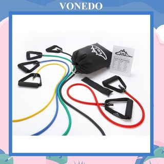 Bộ 5 Dây Ngũ Sắc Tập Gym Dây Kéo Vonedo  Đàn Hồi Đa Năng ZN11 Cao Cấp