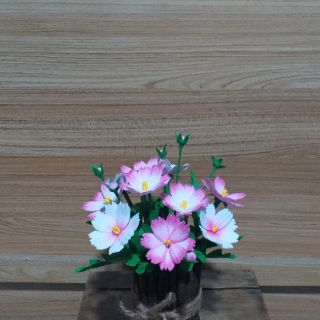 Hoa Sao nhái bằng đất sét