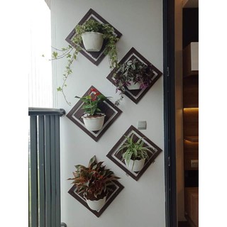 [COMBO 50] CHẬU ỐP TƯỜNG BÁN NGUYỆT TRỒNG CÂY LOẠI 1
