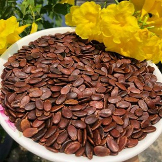 HẠT DƯA NHỎ KHÔNG MÀU.