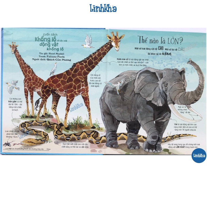 Sách Big Book - Cuốn Sách Khổng Lồ Về Các Loài Động Vật Khổng Lồ
