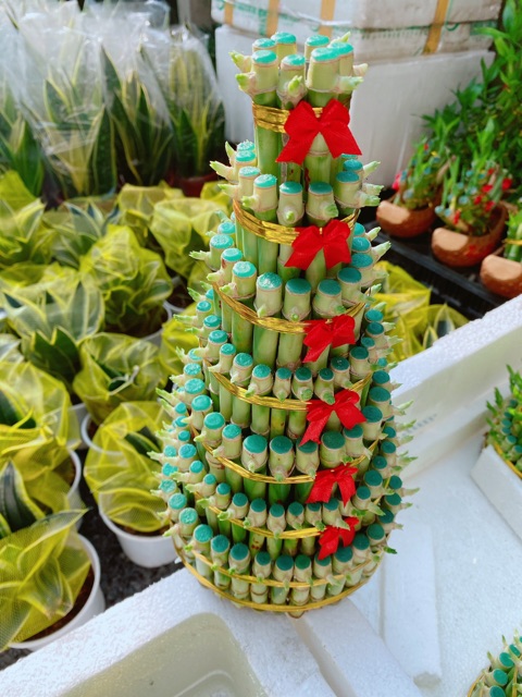 Trúc Phát Tài 7 tầng kèm dĩa