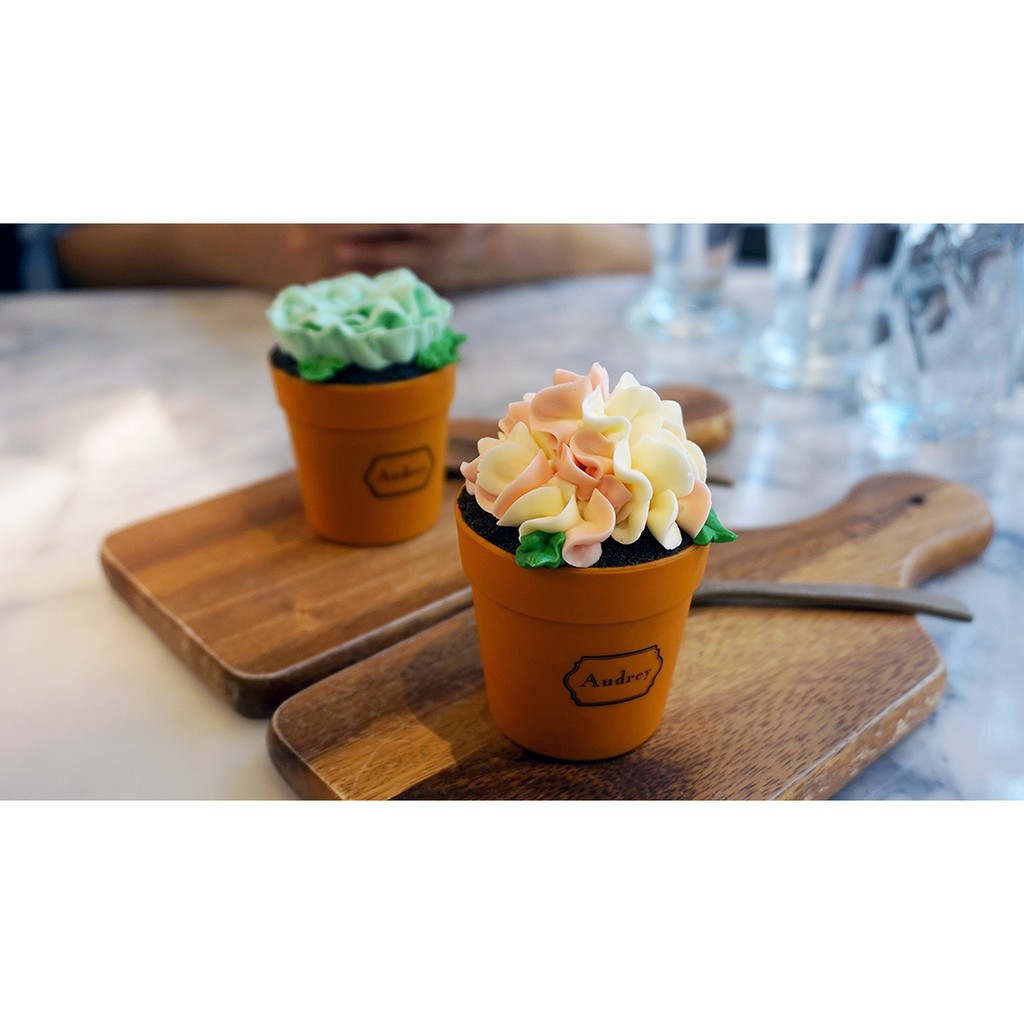 Combo 10 ca đong 500ml