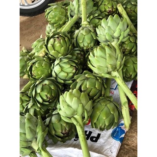 Bông Atiso sấy  khô Loại 1
