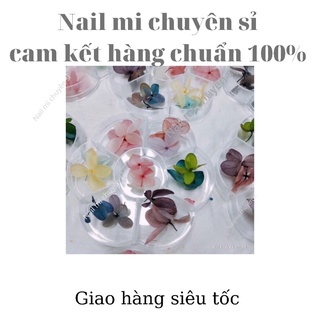 Hoa khô omber chuyên dùng design móng tay ẩn trang trí móng