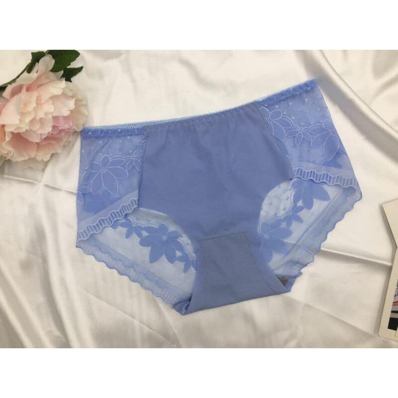 Set 5 Quần su ren 1638 [BI &amp; CI]