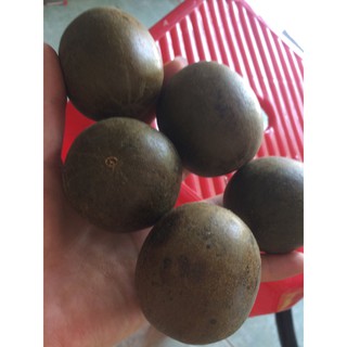 1 kg Quả la hán (giải nhiệt, chống viêm)