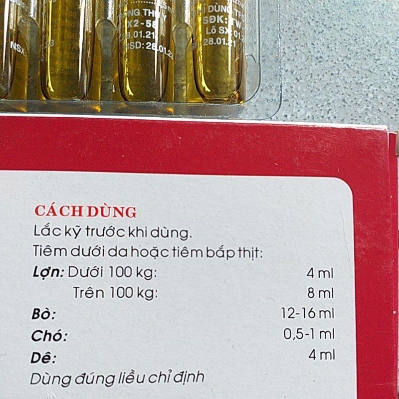 Gona-estrol cho gia súc cái chó mèo lợn trâu bò dê thú y thú cưng ống 4ml