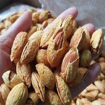 Hạt hạnh nhân rang bơ còn vỏ hộp  500G loại  thơm ngon, ròn rụm