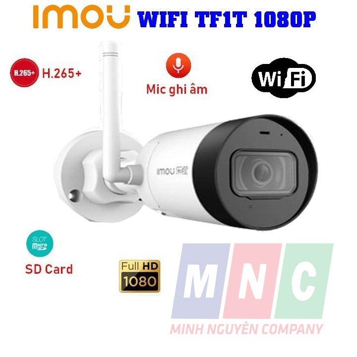 Camera Wifi Lechange TF1T