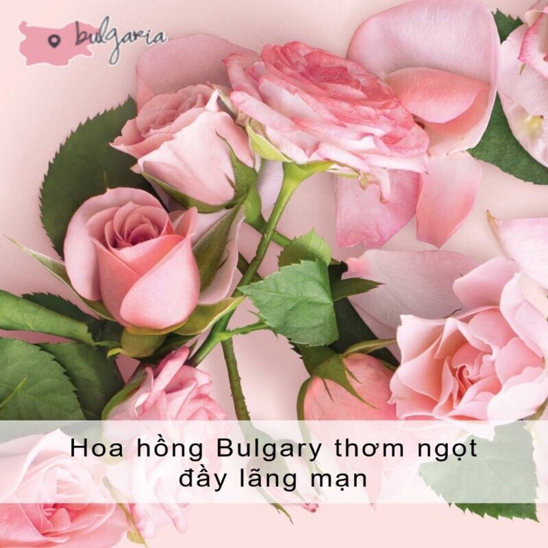 Sữa dưỡng thể Love Beauty and Planet Body Lotion dưỡng trắng cấp ẩm và mang lại sự dễ chịu cho tinh thần