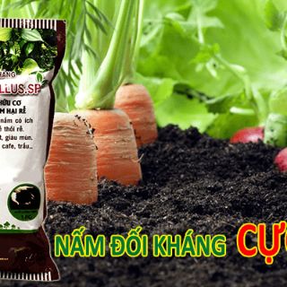Trichoderma Bacillus 1kg